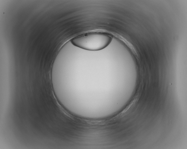 X0000112361281200908131227