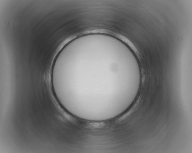 X0000112361282200908131227