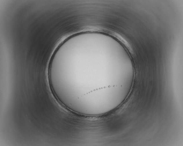 X0000112361283200908131227
