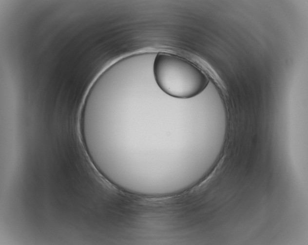 X0000112361284200908131227