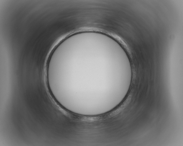 X0000112361286200908131227