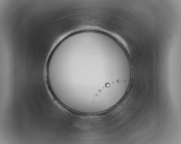 X0000112361287200908131227