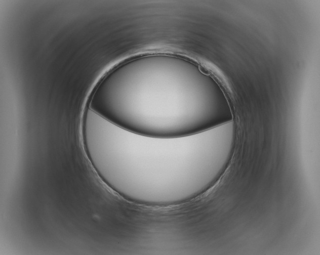 X0000112361288200908131227