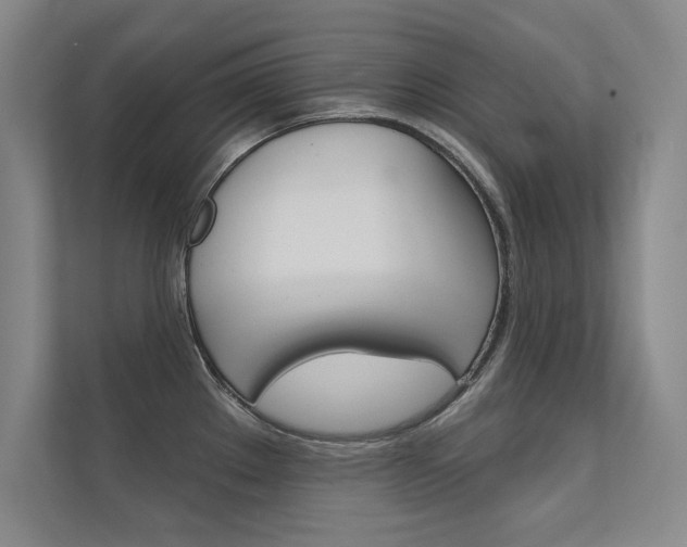 X0000112361289200908131227