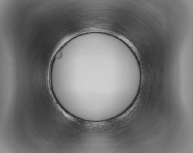 X0000112361294200908131227