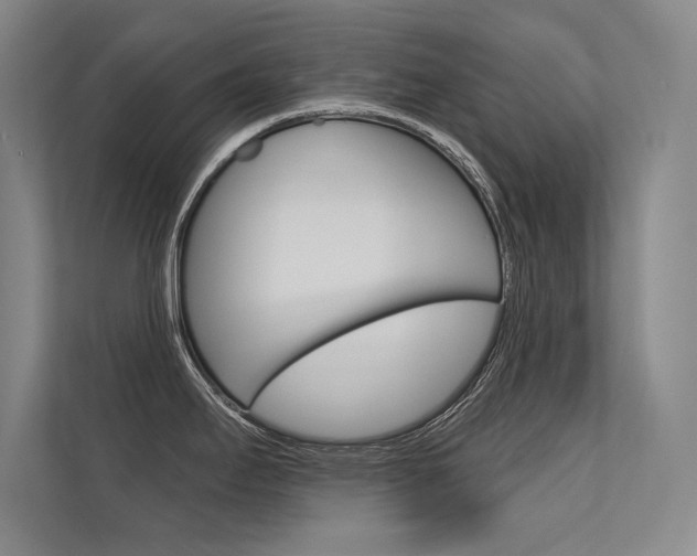 X0000112361295200908131227