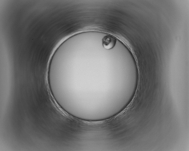 X0000112361296200908131227