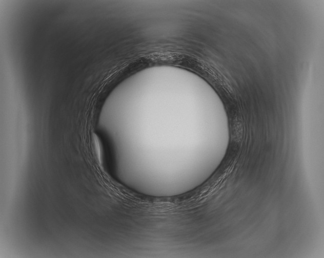 X0000112361297200908131226