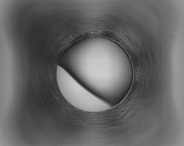 X0000112361298200908131226