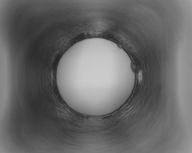X0000112361299200908131226