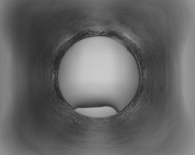 X0000112361302200908131226