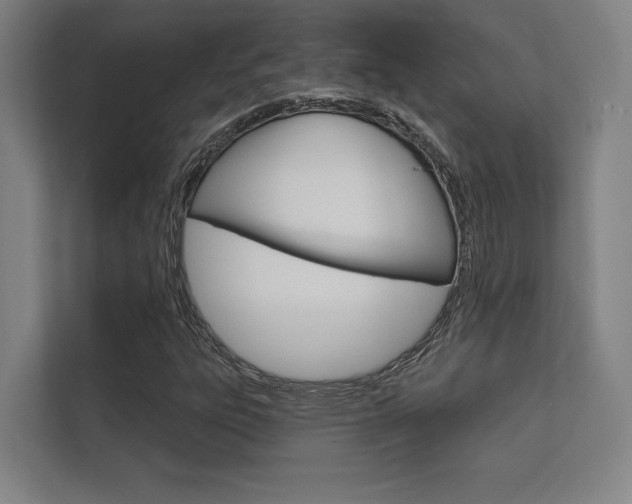 X0000112361303200908131226