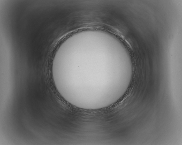X0000112361304200908131226
