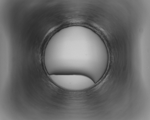 X0000112361306200908131226