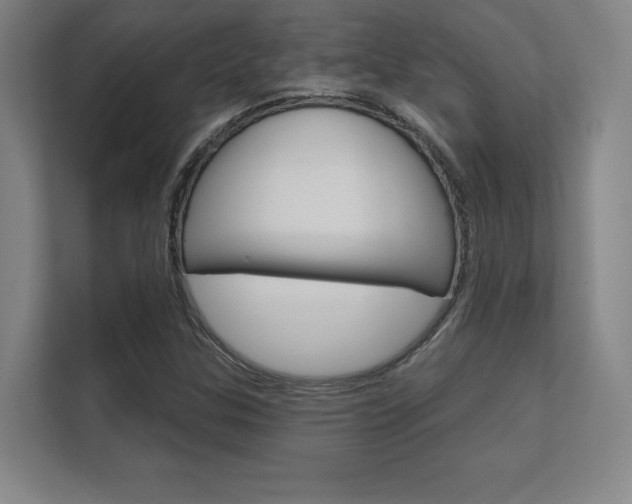 X0000112361307200908131226