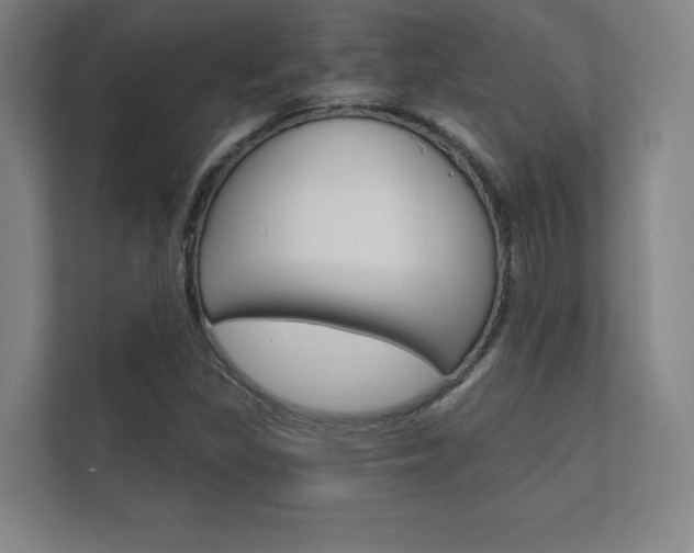 X0000112361309200908131226