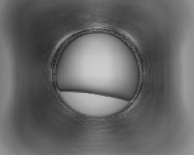 X0000112361310200908131226
