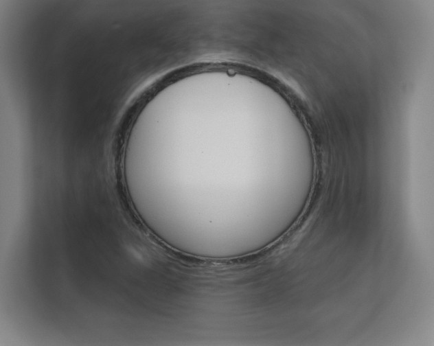 X0000112361311200908131226