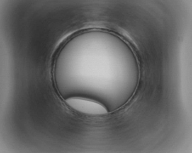X0000112361312200908131226