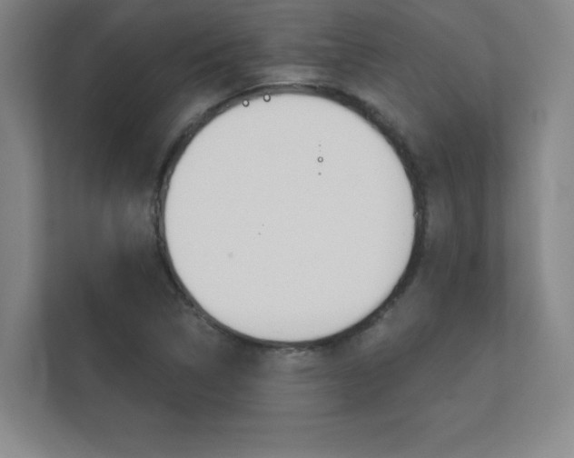 X0000112361314200908131226