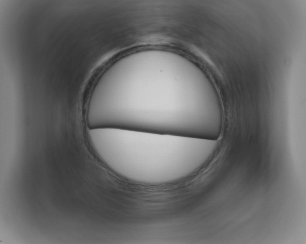 X0000112361315200908131226