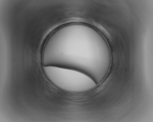 X0000112361318200908131226