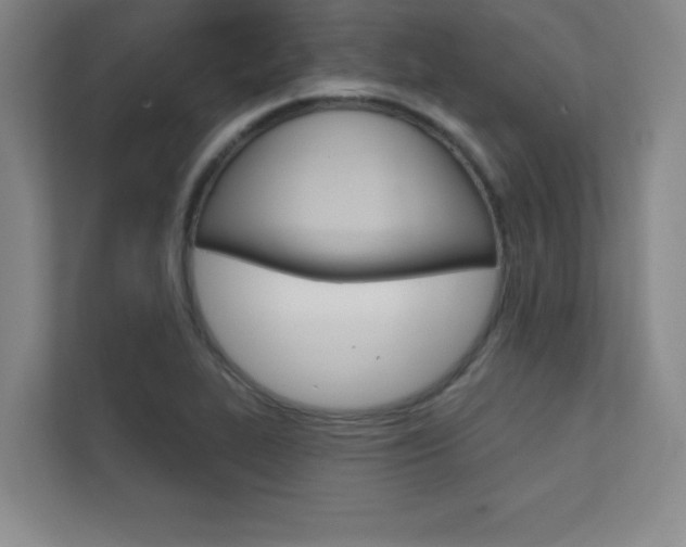 X0000112361319200908131226