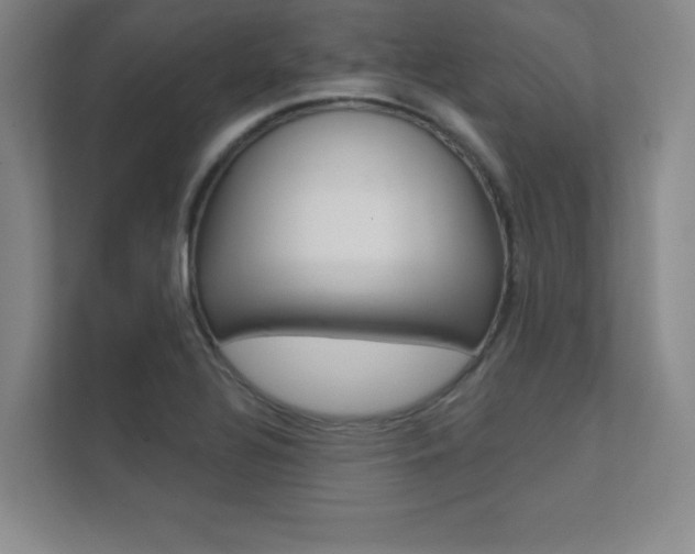 X0000112361320200908131226