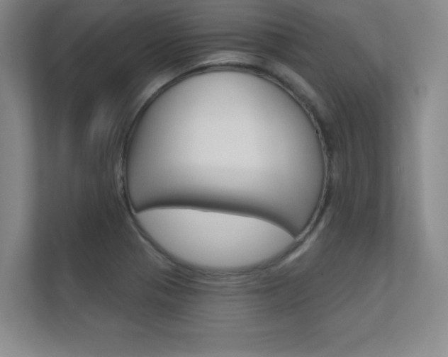 X0000112361321200908131226