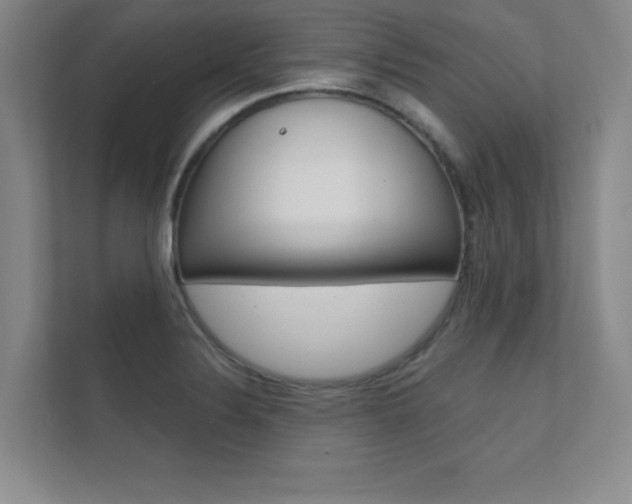 X0000112361324200908131226