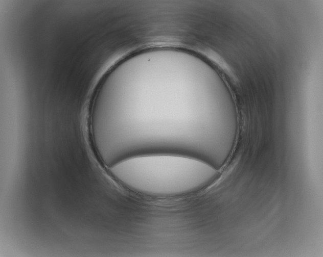 X0000112361325200908131226