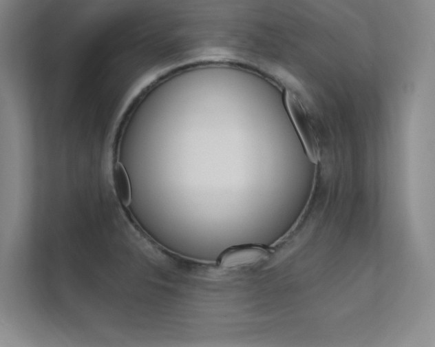 X0000112361326200908131226