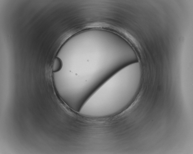 X0000112361329200908131226