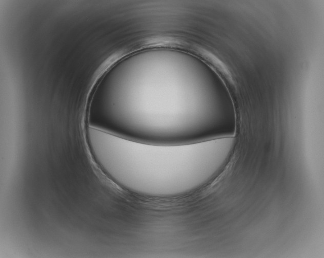 X0000112361330200908131226