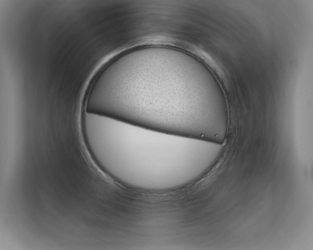 X0000112361331200908131227