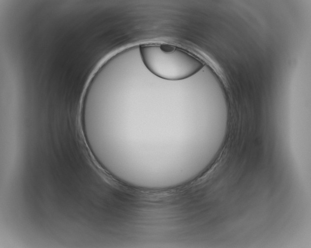X0000112361332200908131227