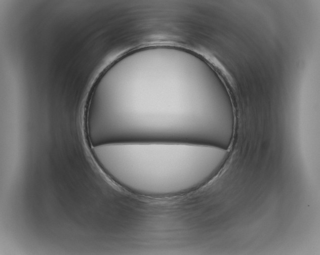 X0000112361333200908131227