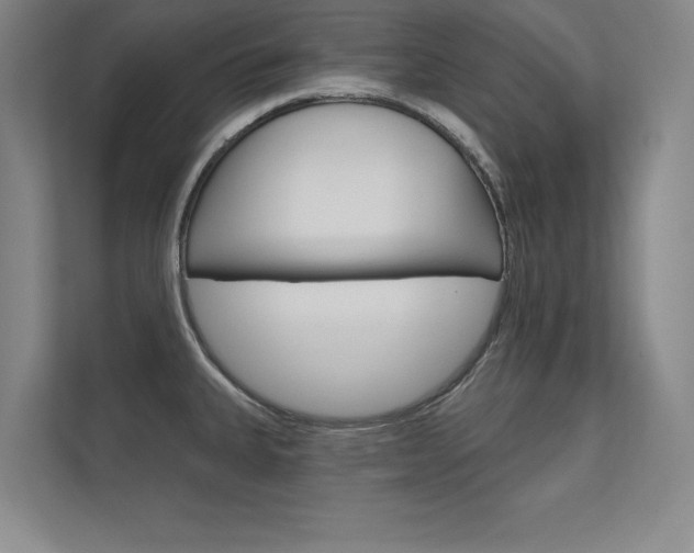 X0000112361335200908131227