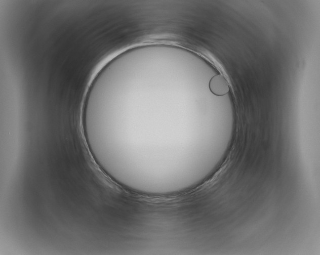 X0000112361336200908131227