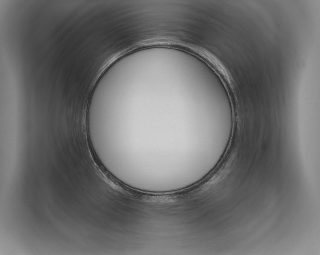 X0000112361337200908131227