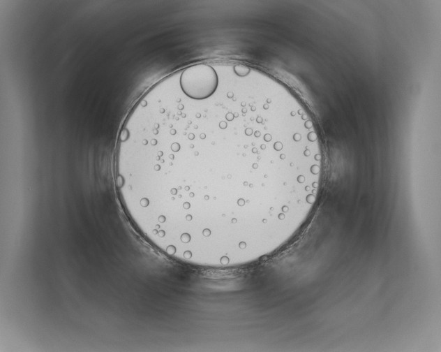 X0000112361338200908131227