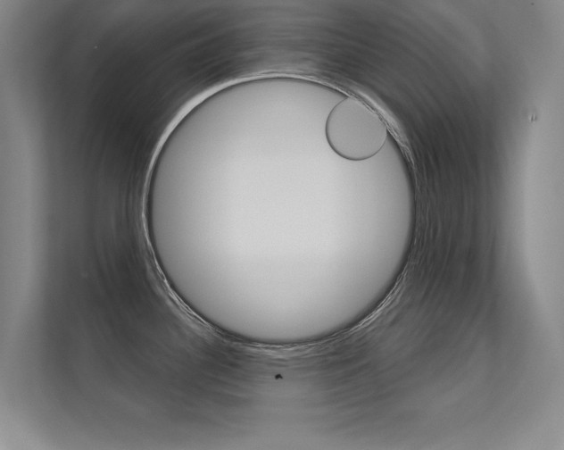 X0000112361340200908131227