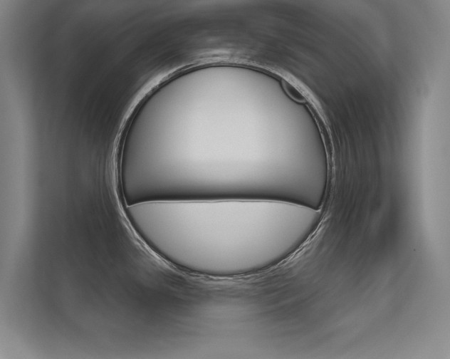 X0000112361341200908131227