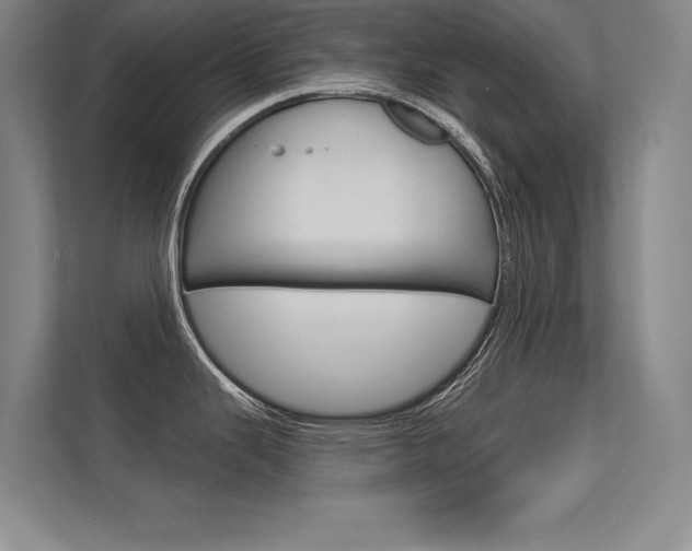 X0000112361343200908131227