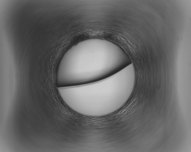 X0000112361345200908131226