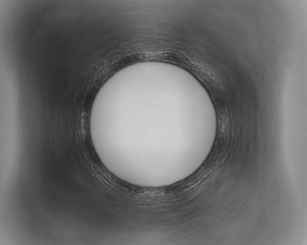 X0000112361346200908131226