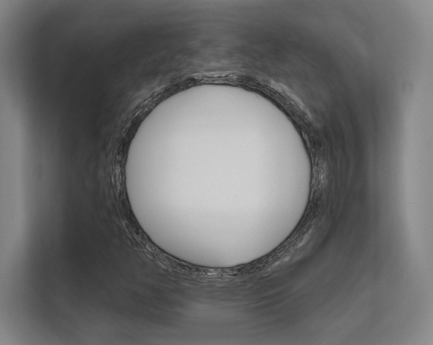 X0000112361350200908131226
