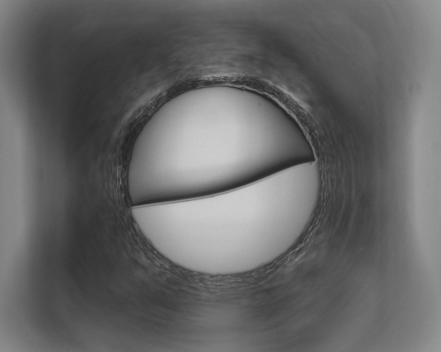 X0000112361351200908131226