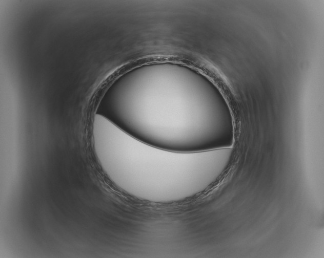 X0000112361352200908131226