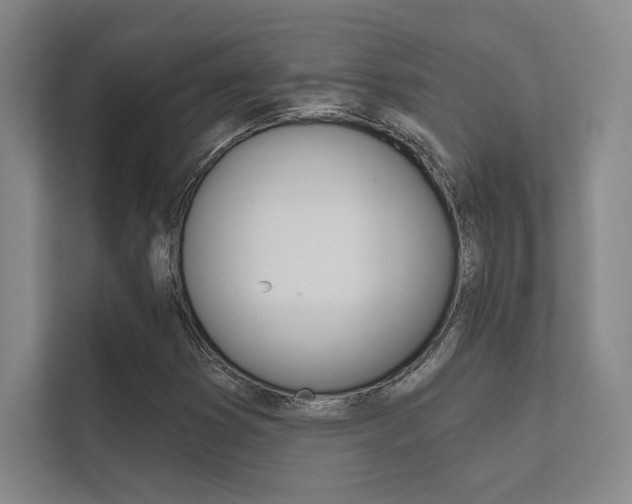 X0000112361353200908131226